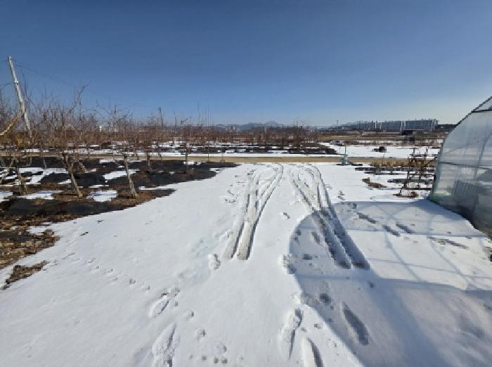 본건 8 전경 및 일부 도로로 이용중임