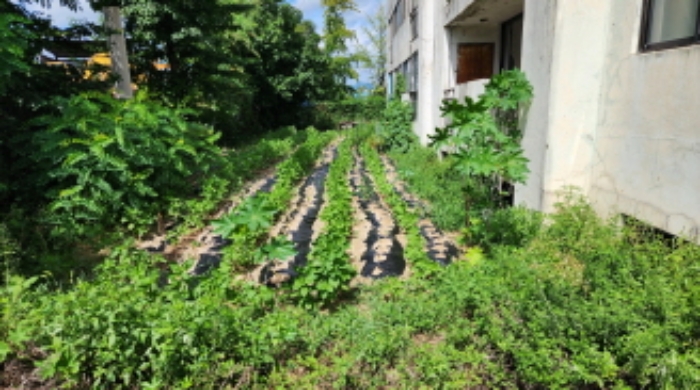 일부 전으로 이용중임