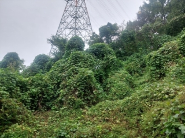 부동산 표시목록 2번 토지에 설치된 