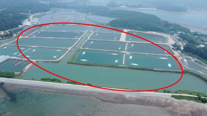 본건 원경(서측에서 촬영)