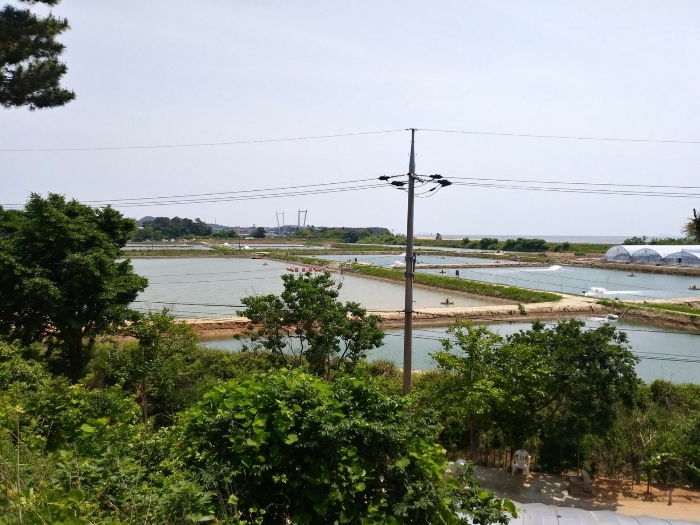 본건 근경(북측에서 촬영) 2