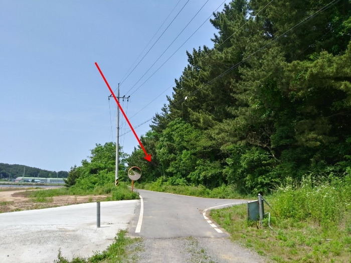 기호(13) 자연림 및 도로 부분 전경