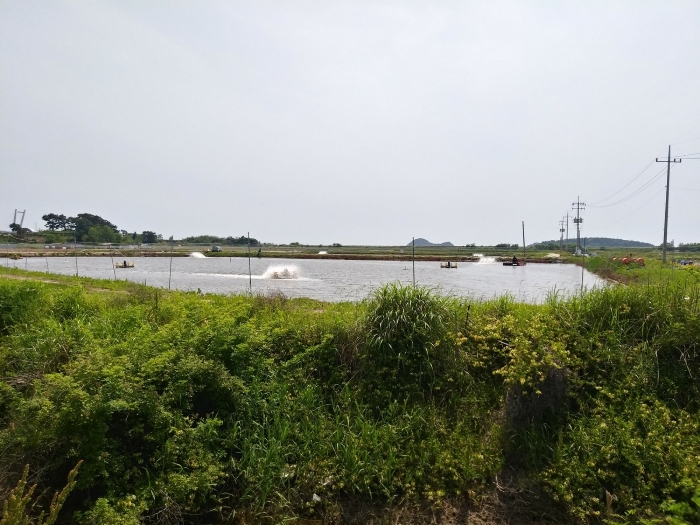 본건 근경(동측에서 촬영) 1