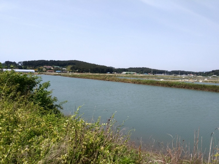 본건 근경(남서측에서 촬영) 1