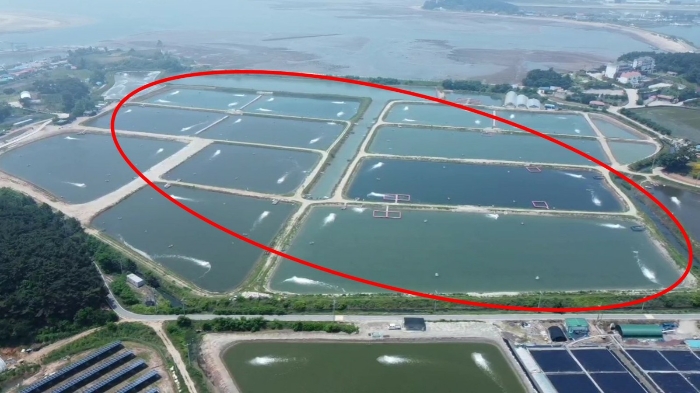 본건 원경(북동측에서 촬영)