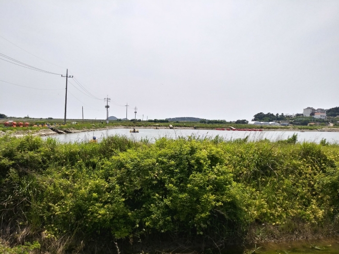 본건 근경(동측에서 촬영) 2