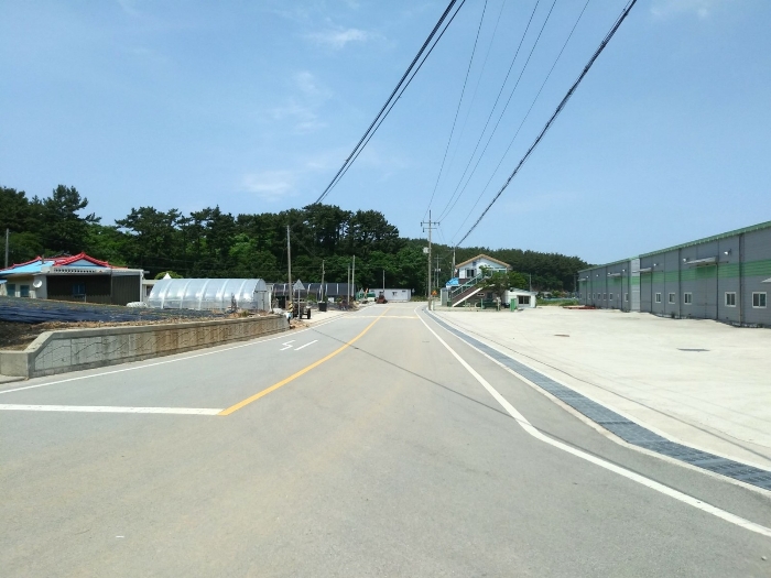 기호(24) 동측 도로 및 부근 전경