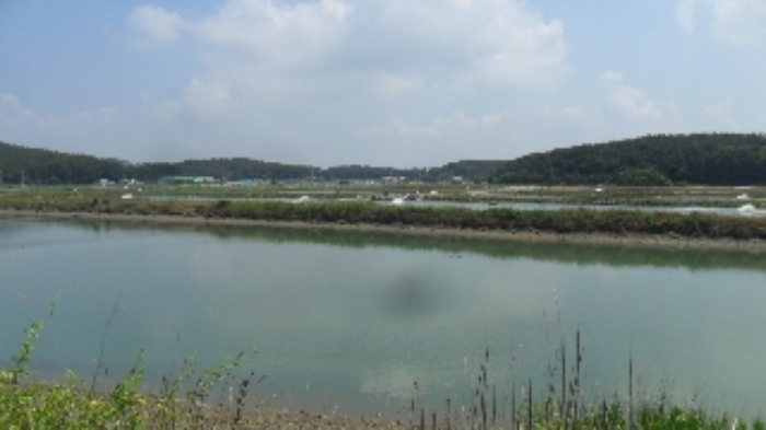 본건 전경 (서쪽에서 동쪽 방향) 