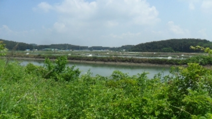 본건 전경(남서쪽에서 북동쪽 방향)