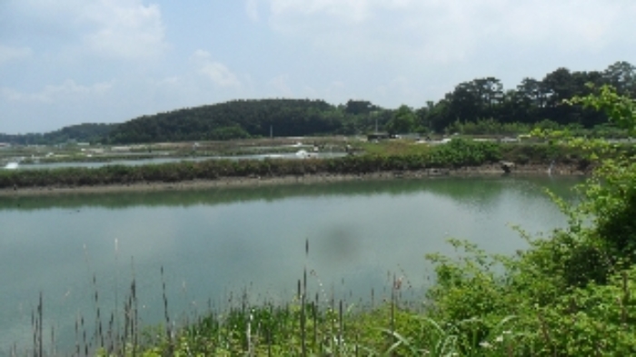 본건 전경(서쪽에서 동쪽 방향)