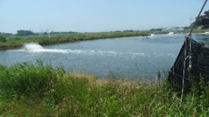 본건 전경(북동쪽에서 남서쪽 방향)