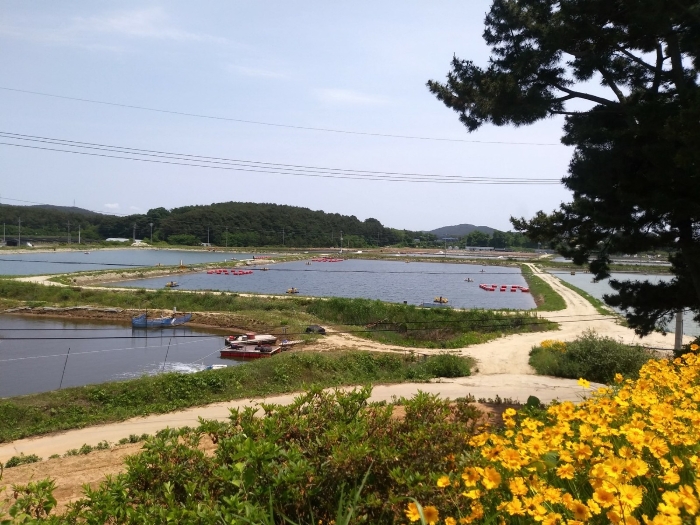 본건 근경(북측에서 촬영) 1