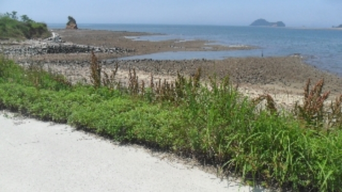 [목록 1] 해안가쪽 모습