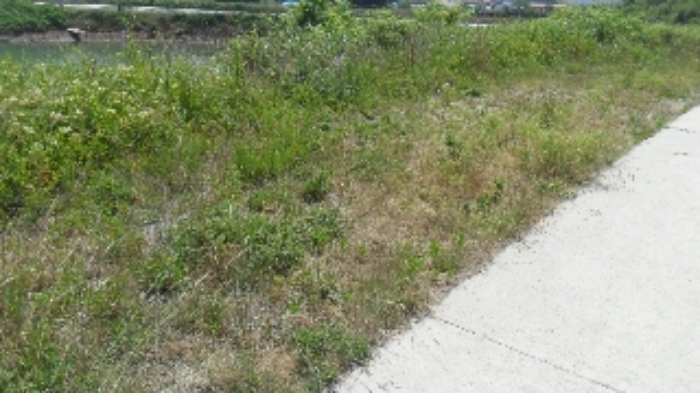 [목록 1] 양어장쪽 모습