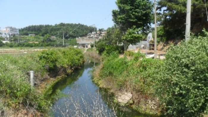 [목록 16] 배수로 등 모습