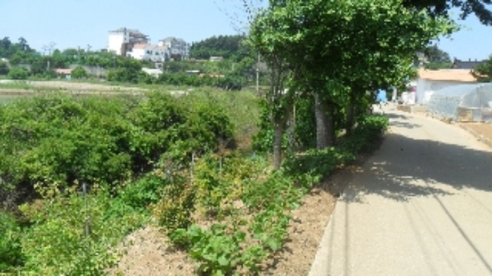 [목록 16] 배수로 등 모습