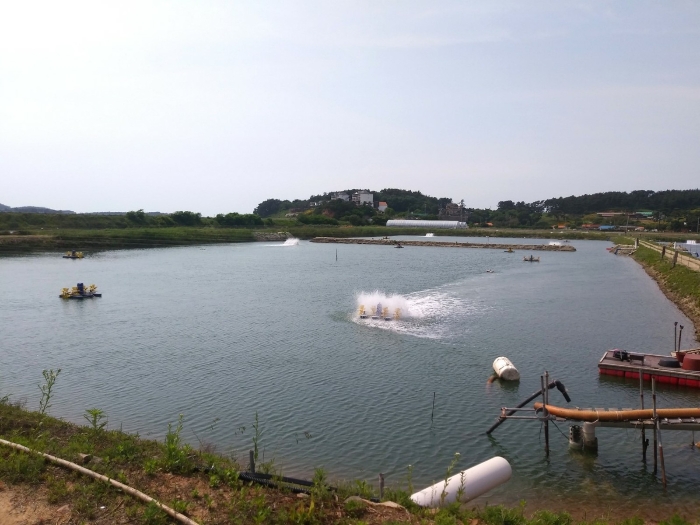 본건 근경(남측에서 촬영) 1