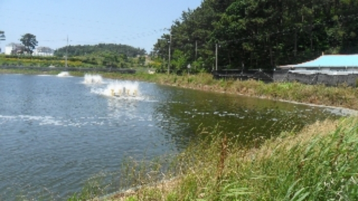 [목록 7] 양어장 등 모습