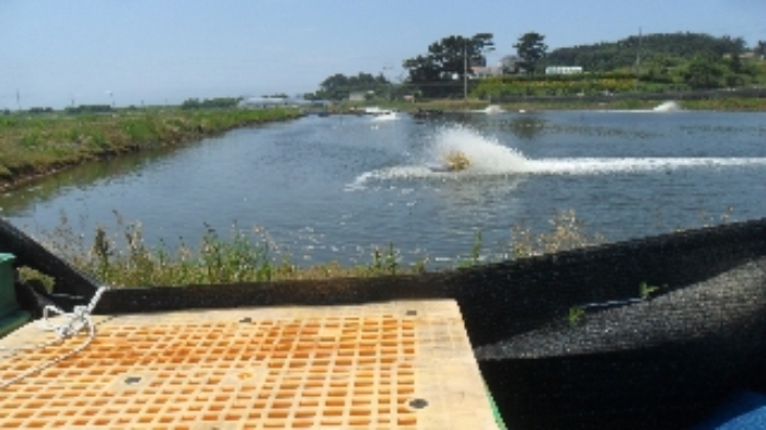 [목록 14,15]  양어장 모습