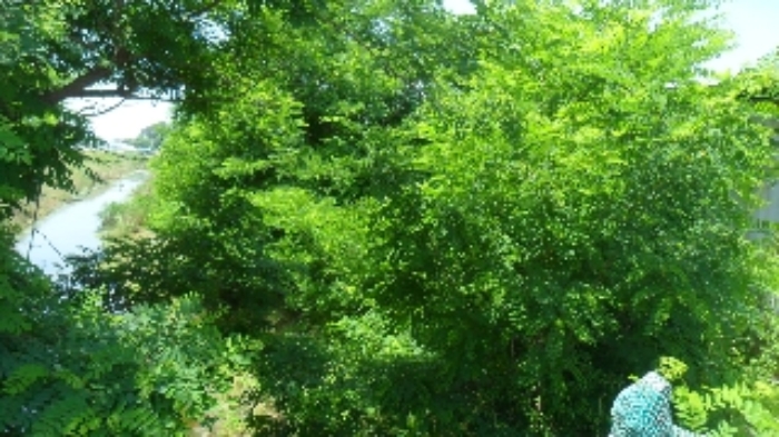 목록 15] 배수로 등 모습