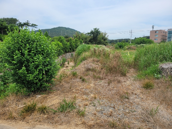 대상토지 일련번