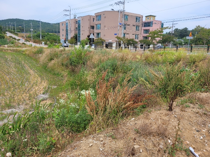 대상토지 일련번