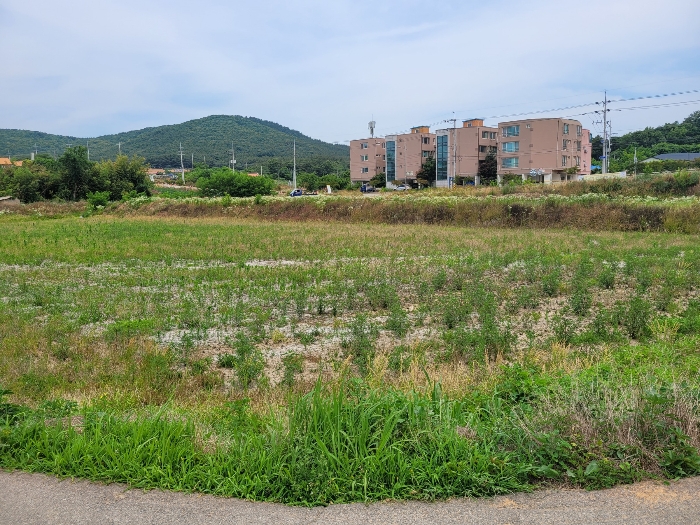 대상토지 일련번