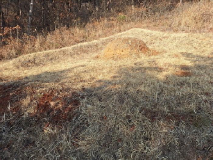 목록9 (분묘1기)