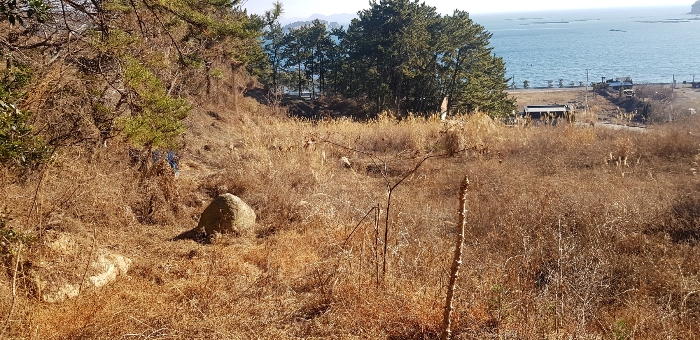 기호(2) 토지 전경