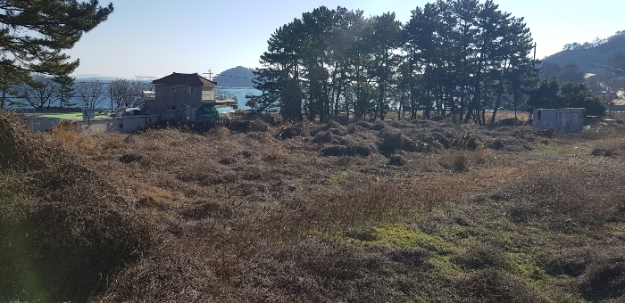 기호(5,12) 토지 전경