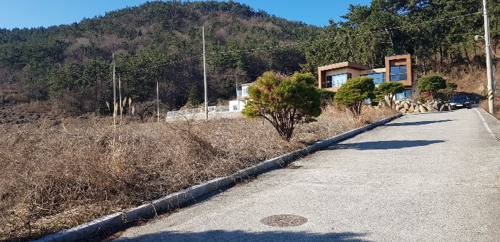 기호(15) 토지 지상 기호(ⓐ) 제시외수목 전경