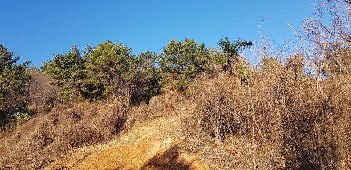 기호(9) 토지 전경