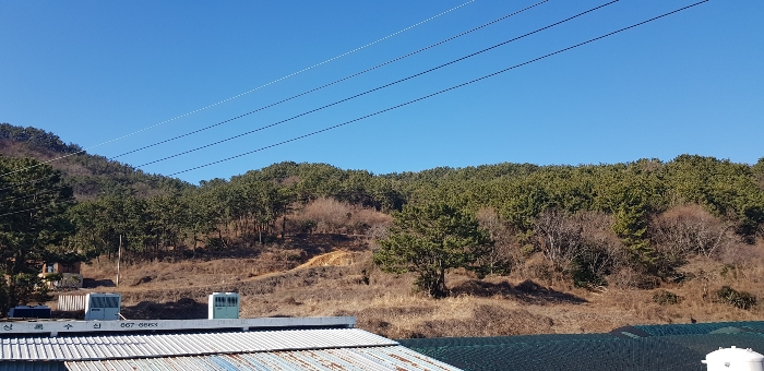 기호(3,4,6-8) 토지 전경