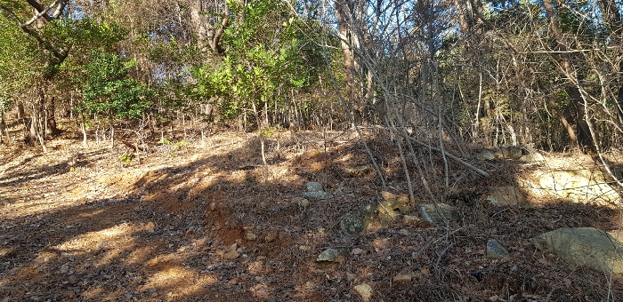 기호(9) 토지 지상 분묘 전경