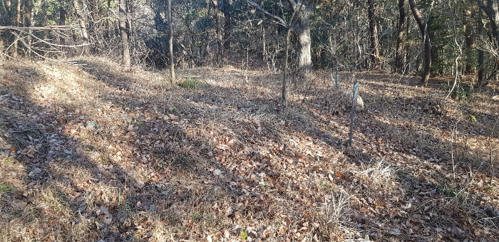 기호(4) 토지 지상 분묘 전경