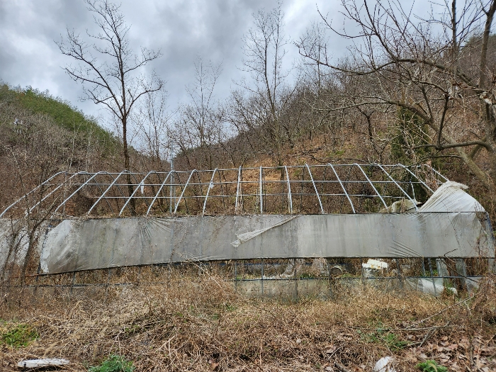 종물 및 부합물 
기호ㅅ