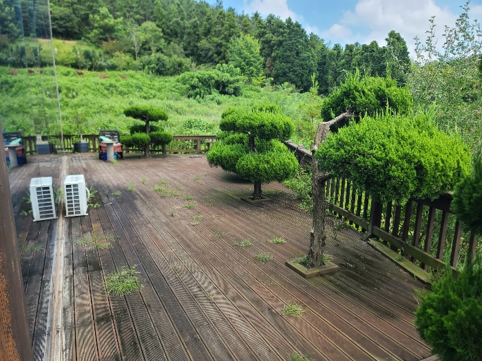 데크시설 및 조경수