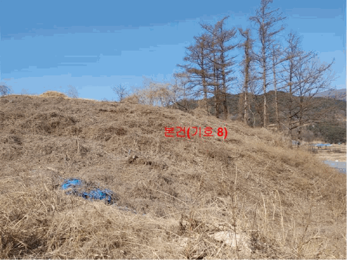 [ 본건(기호 8) ]