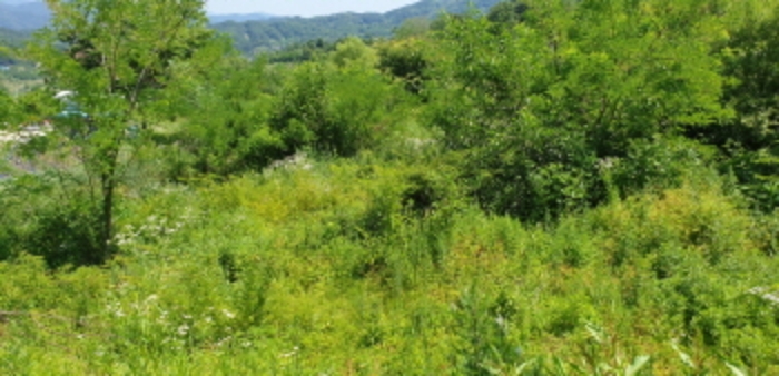 광산리 110 전경