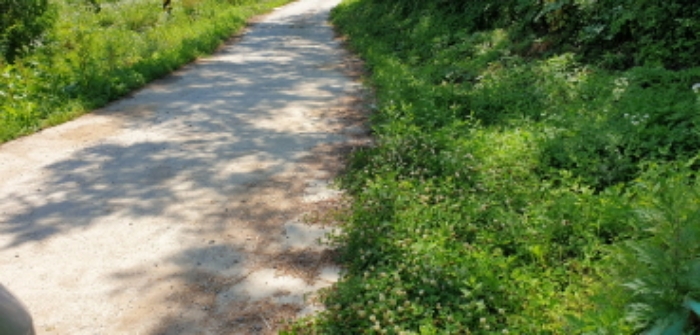 광산리 110 전경