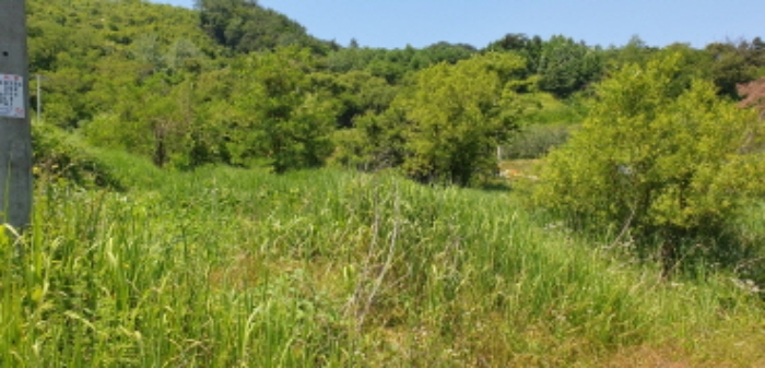 광산리 110 전경