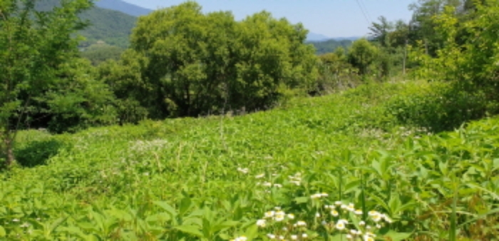 광산리 114 전경
