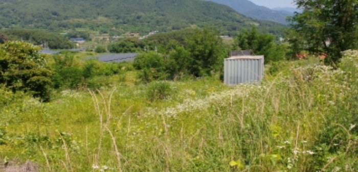 광산리 114 전경