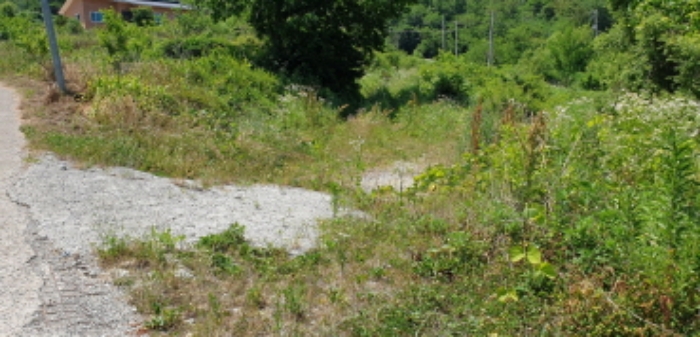 광산리 114 전경