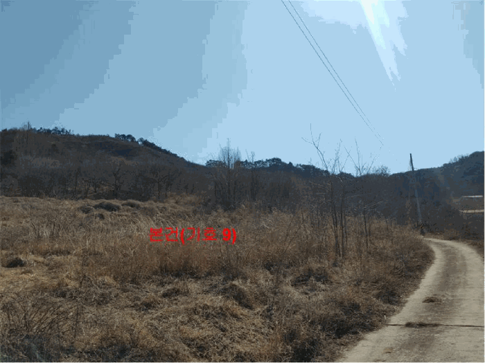 [ 본건(기호 9) ]