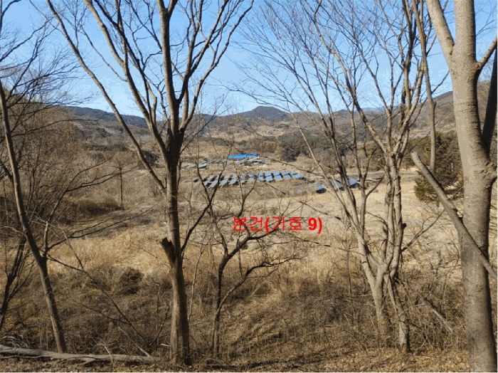 [ 본건(기호 9) ]