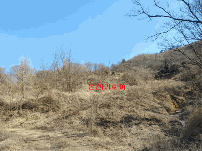 [ 본건(기호 9) ]