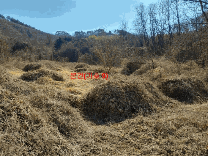 [ 본건(기호 9) ]