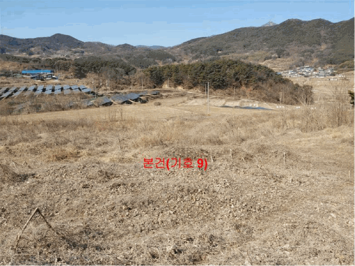 [ 본건(기호 9) ]