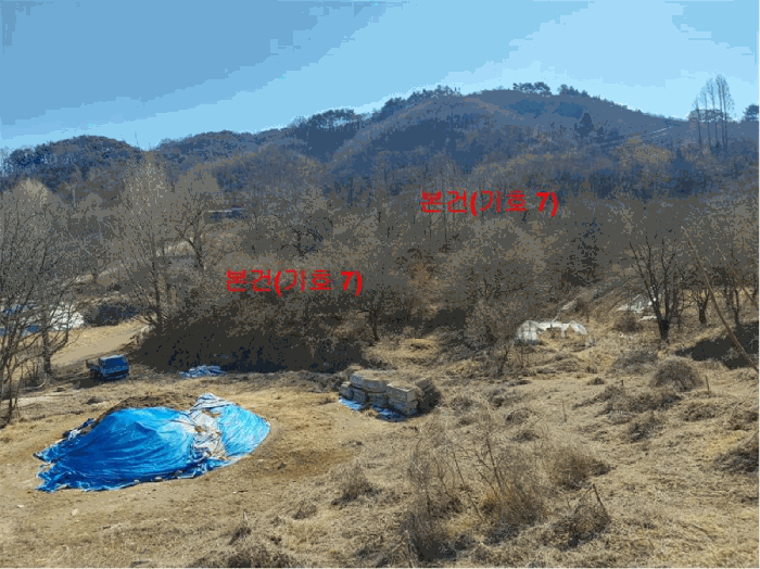 [ 본건(기호 7) ]